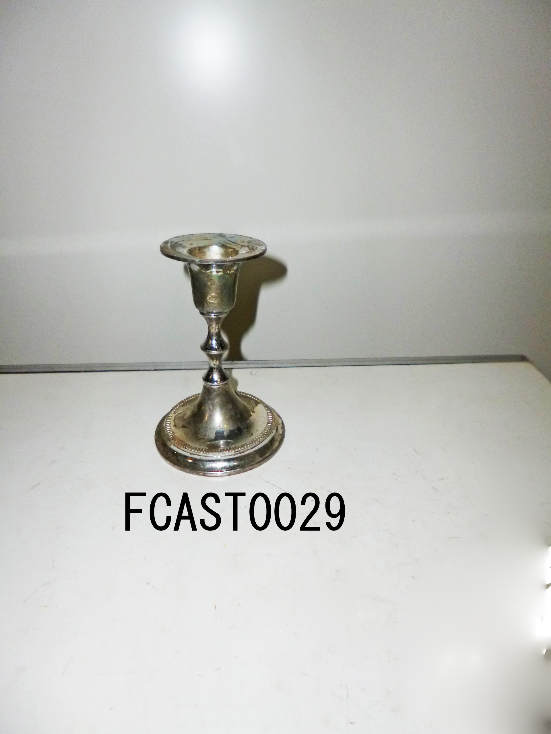 FCAST0029