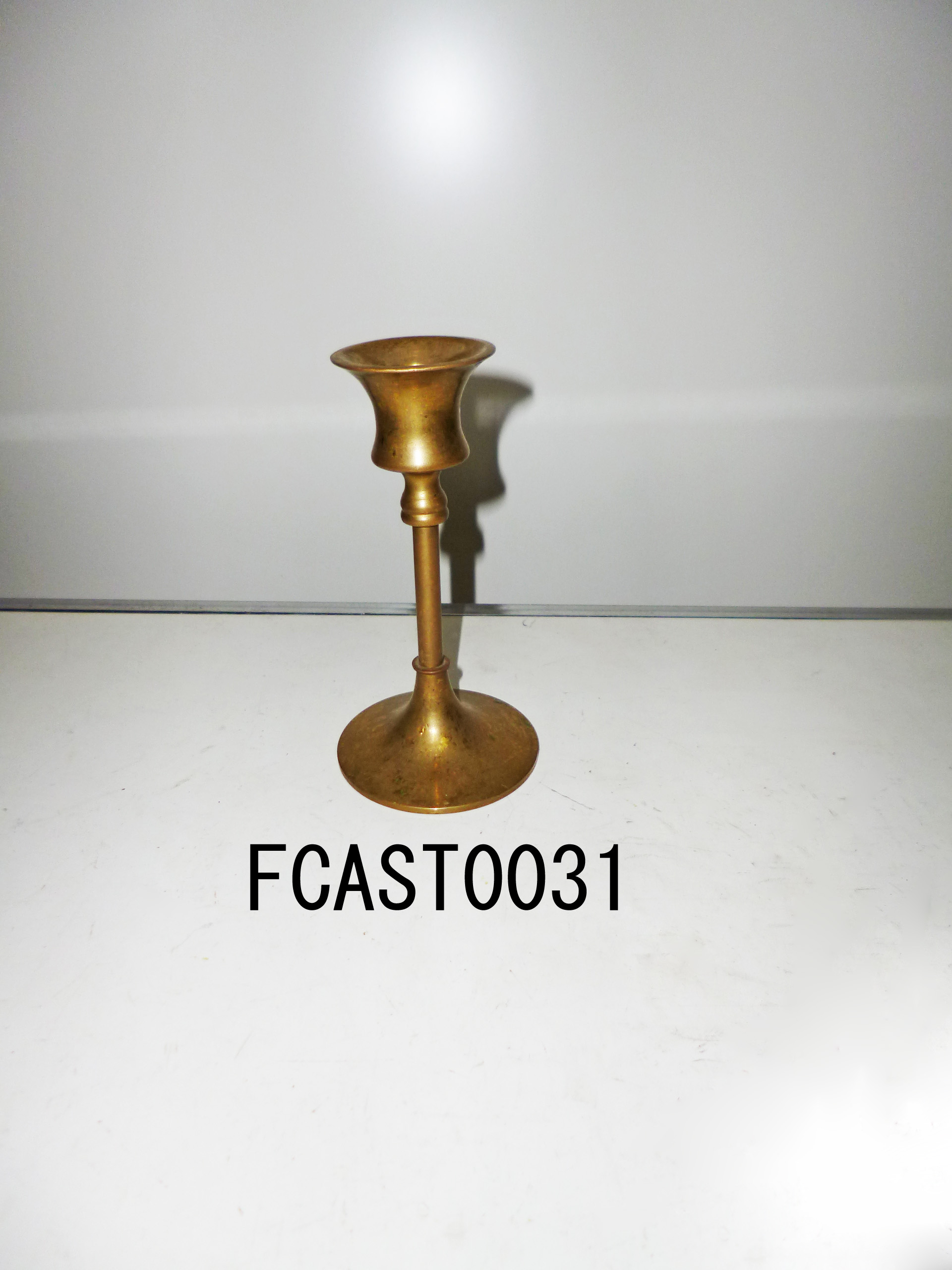 FCAST0031