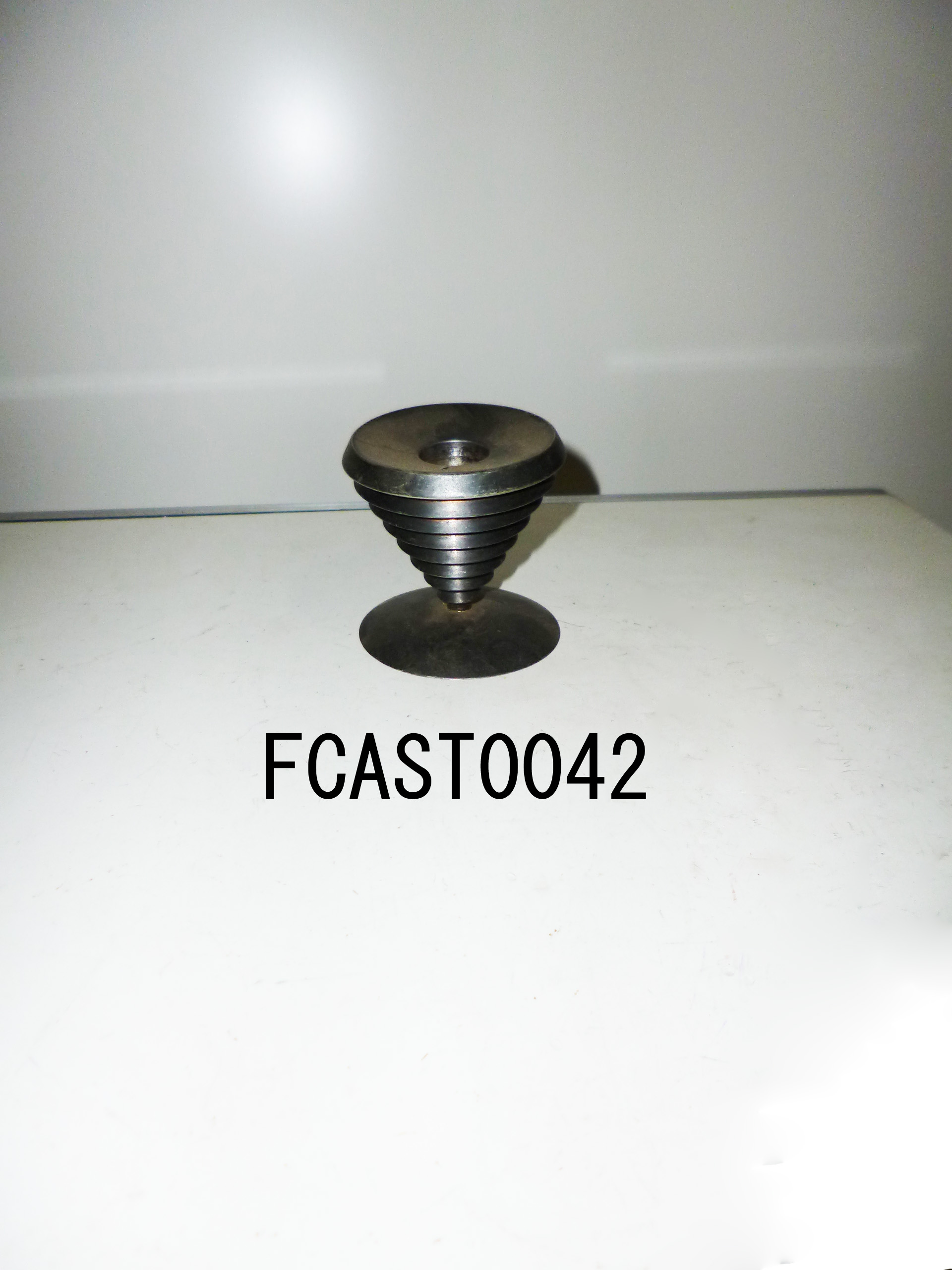 FCAST0042