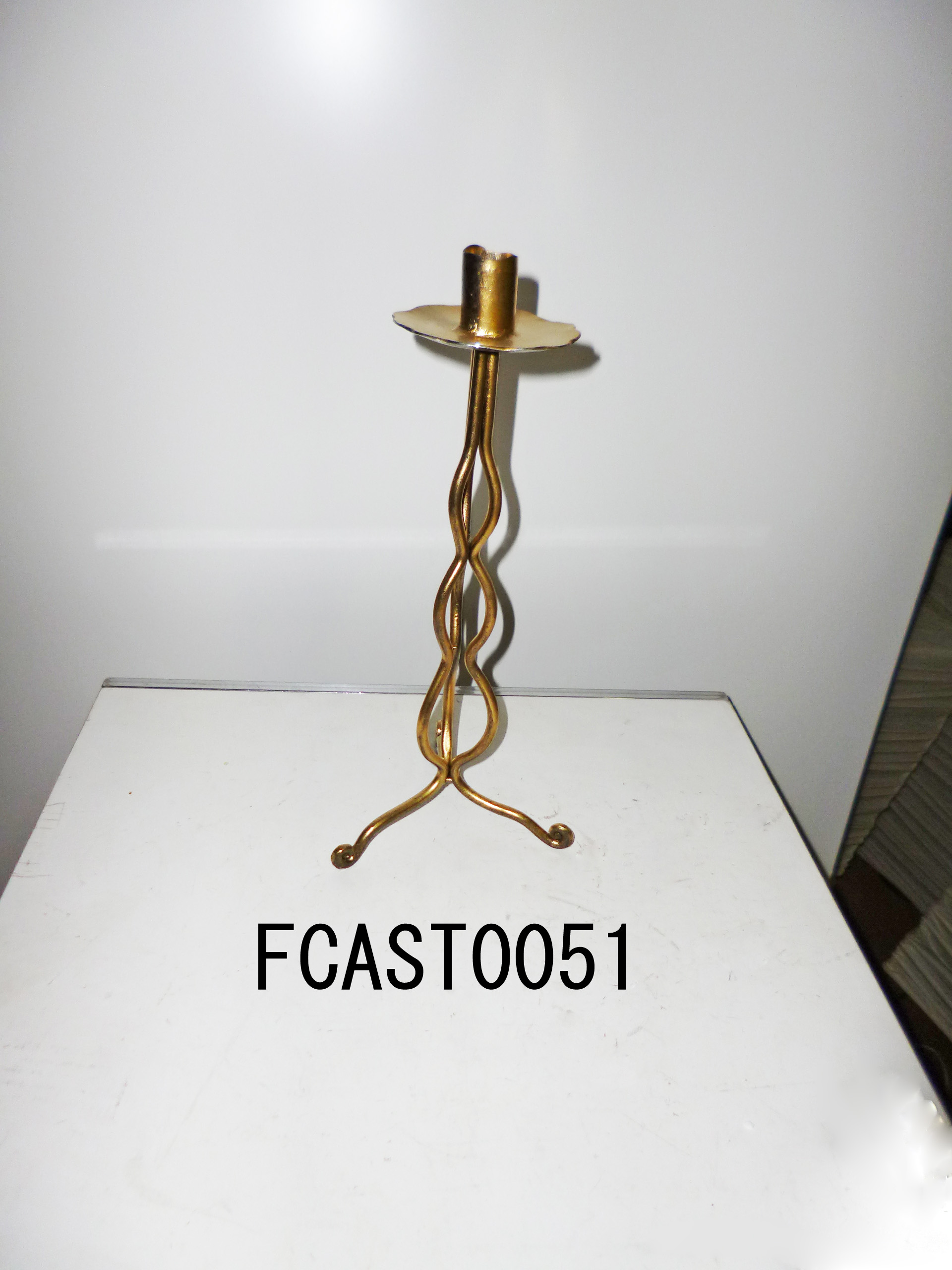 FCAST0051
