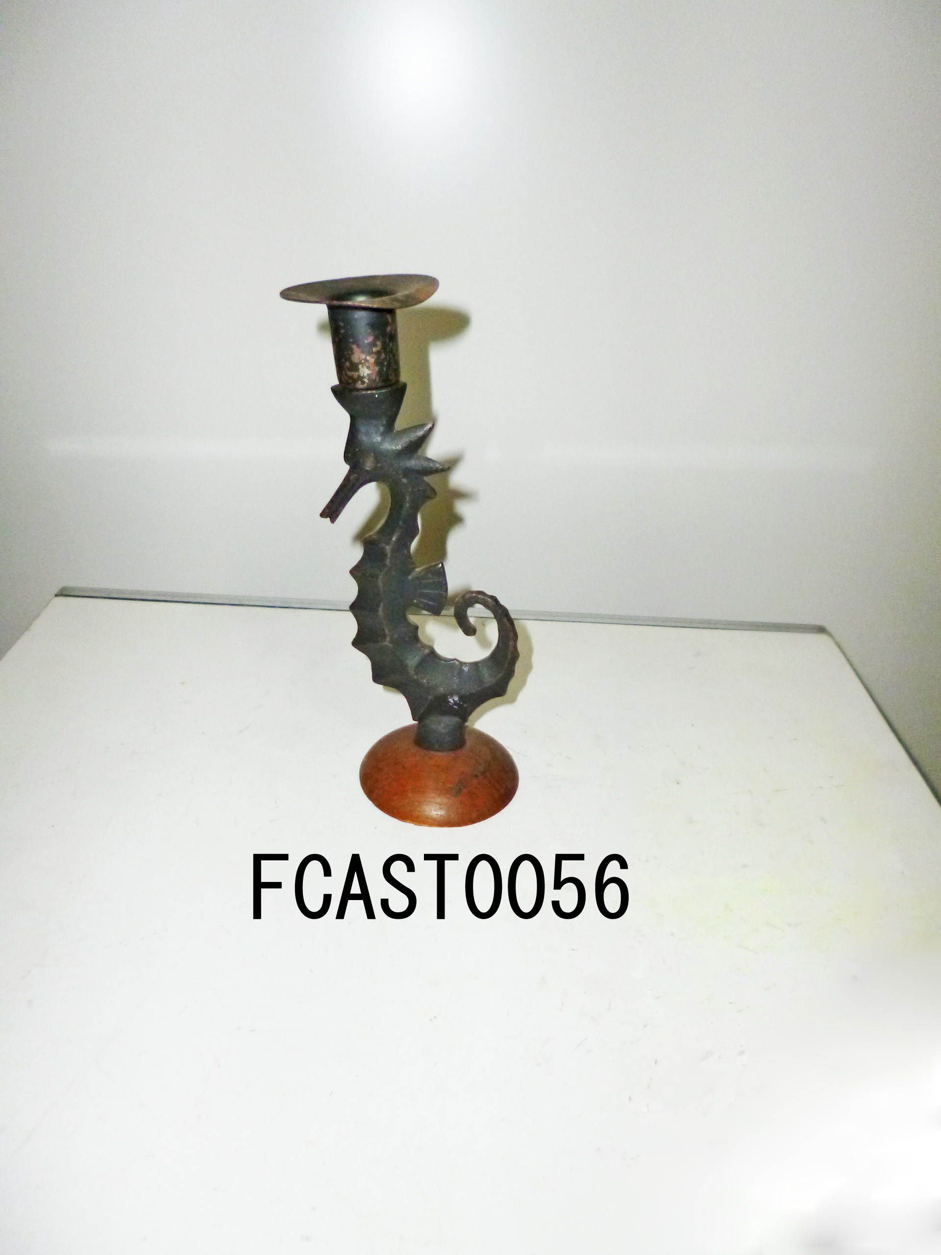 FCAST0056