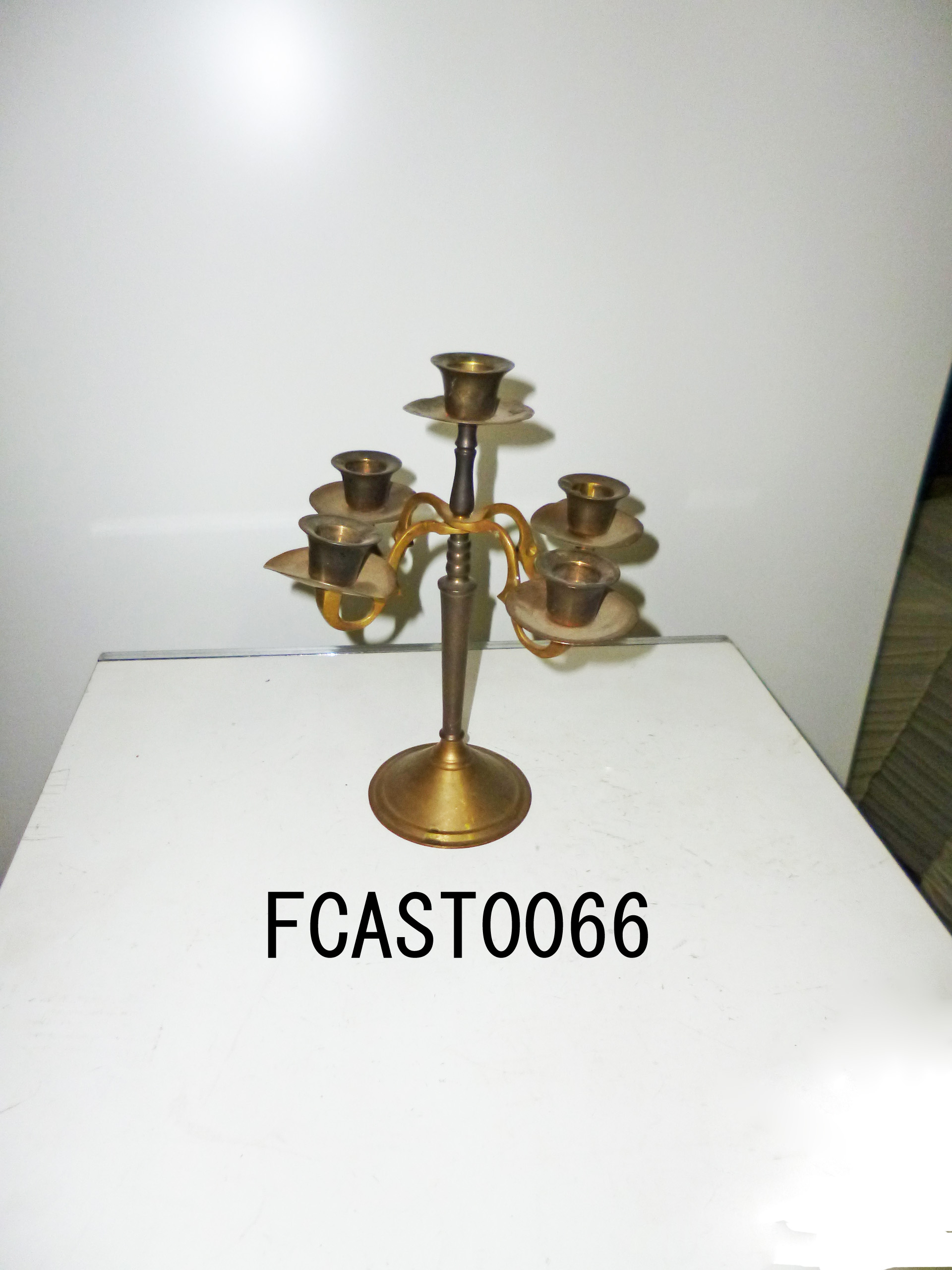 FCAST0066
