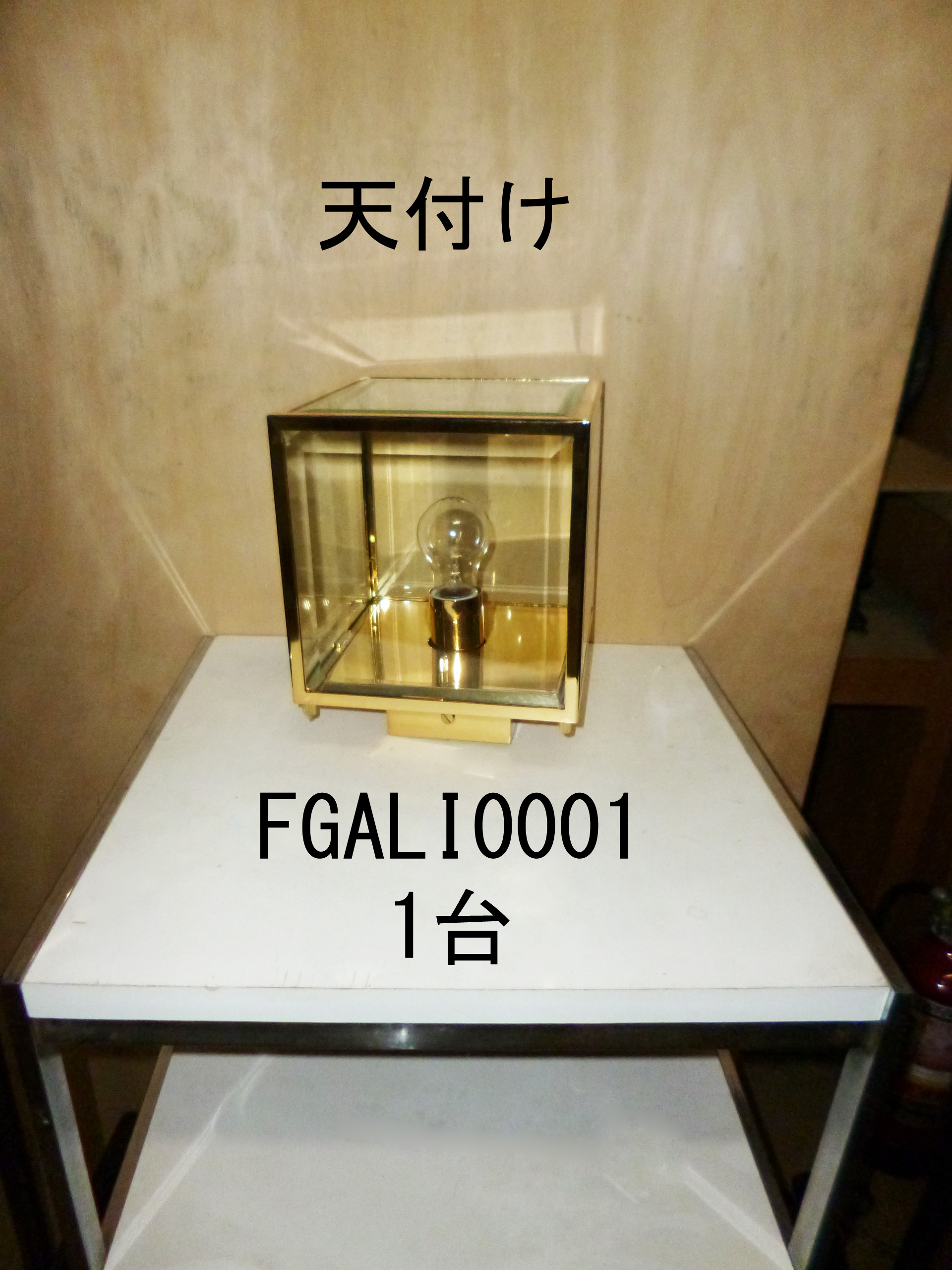 FGALI0001