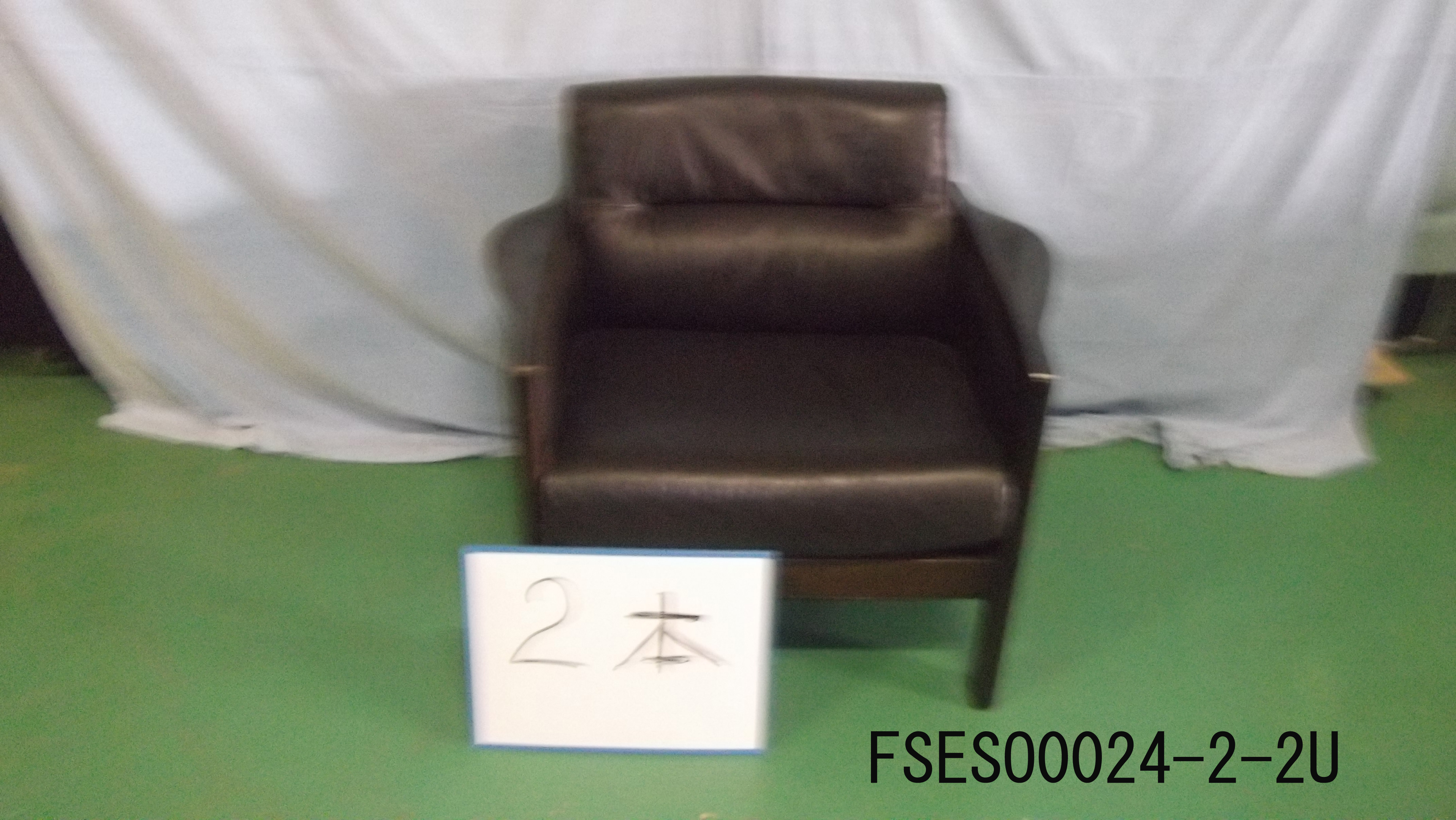 FSESO0024-2
