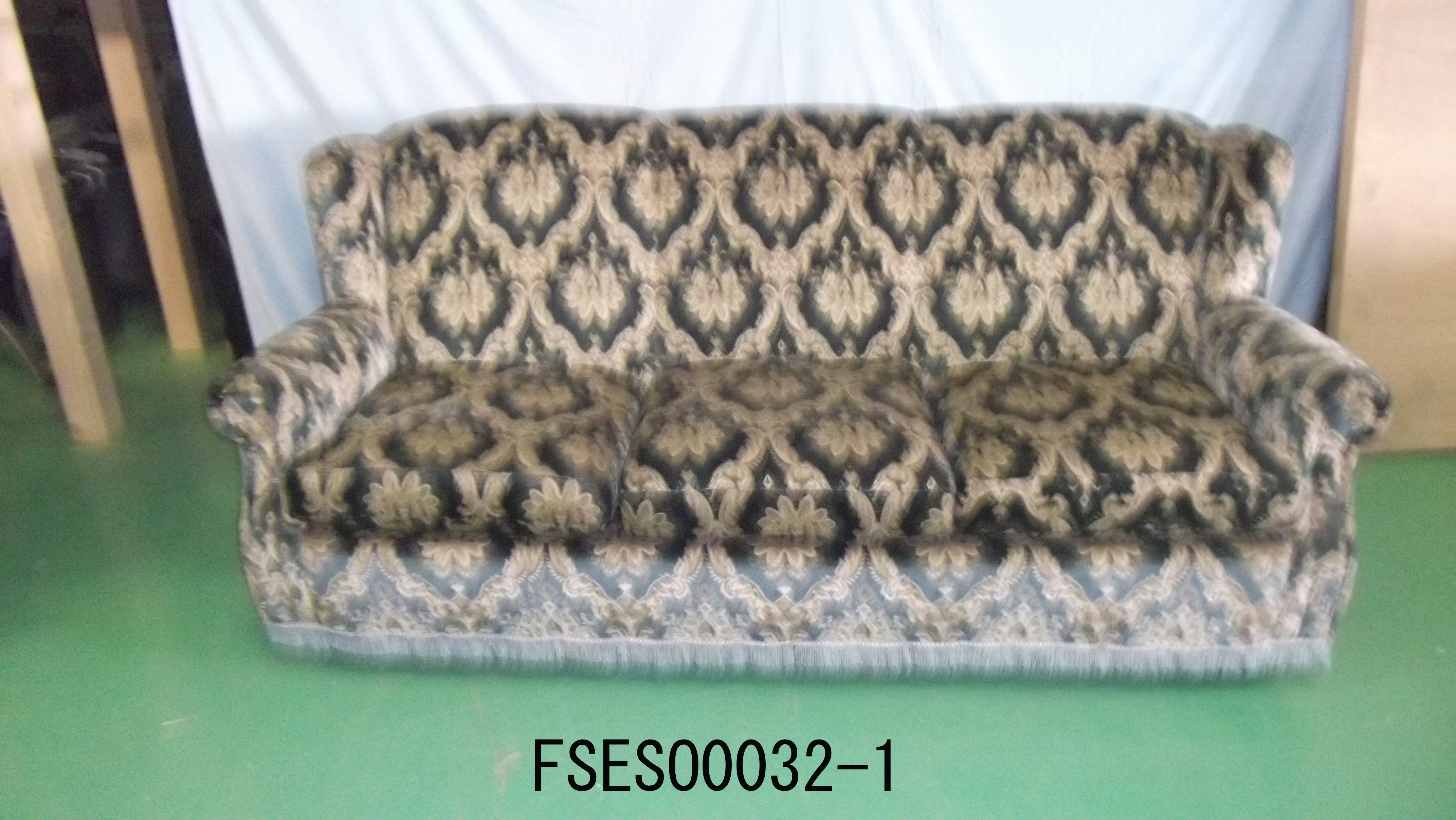 FSESO0032-1