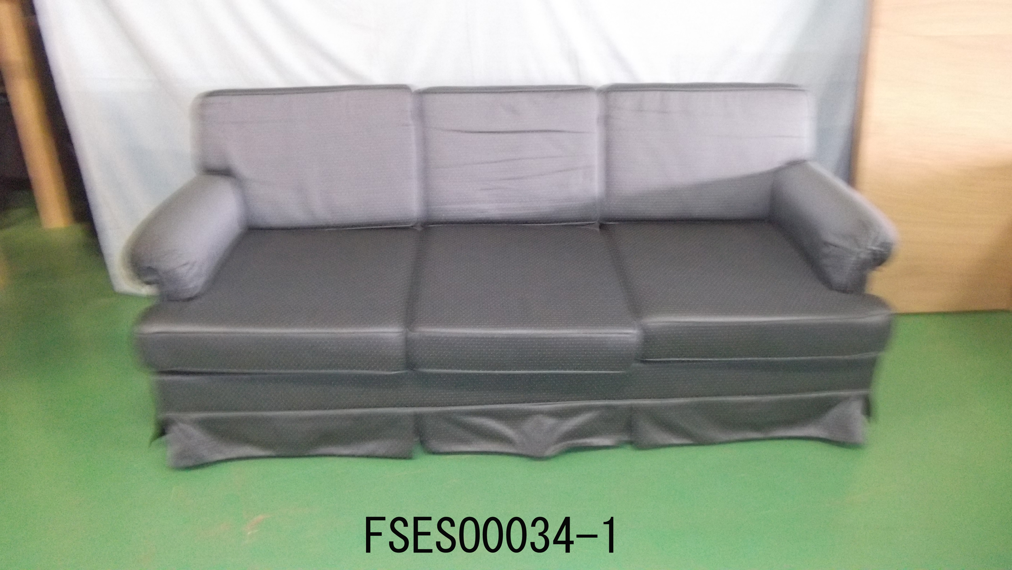FSESO0034-1