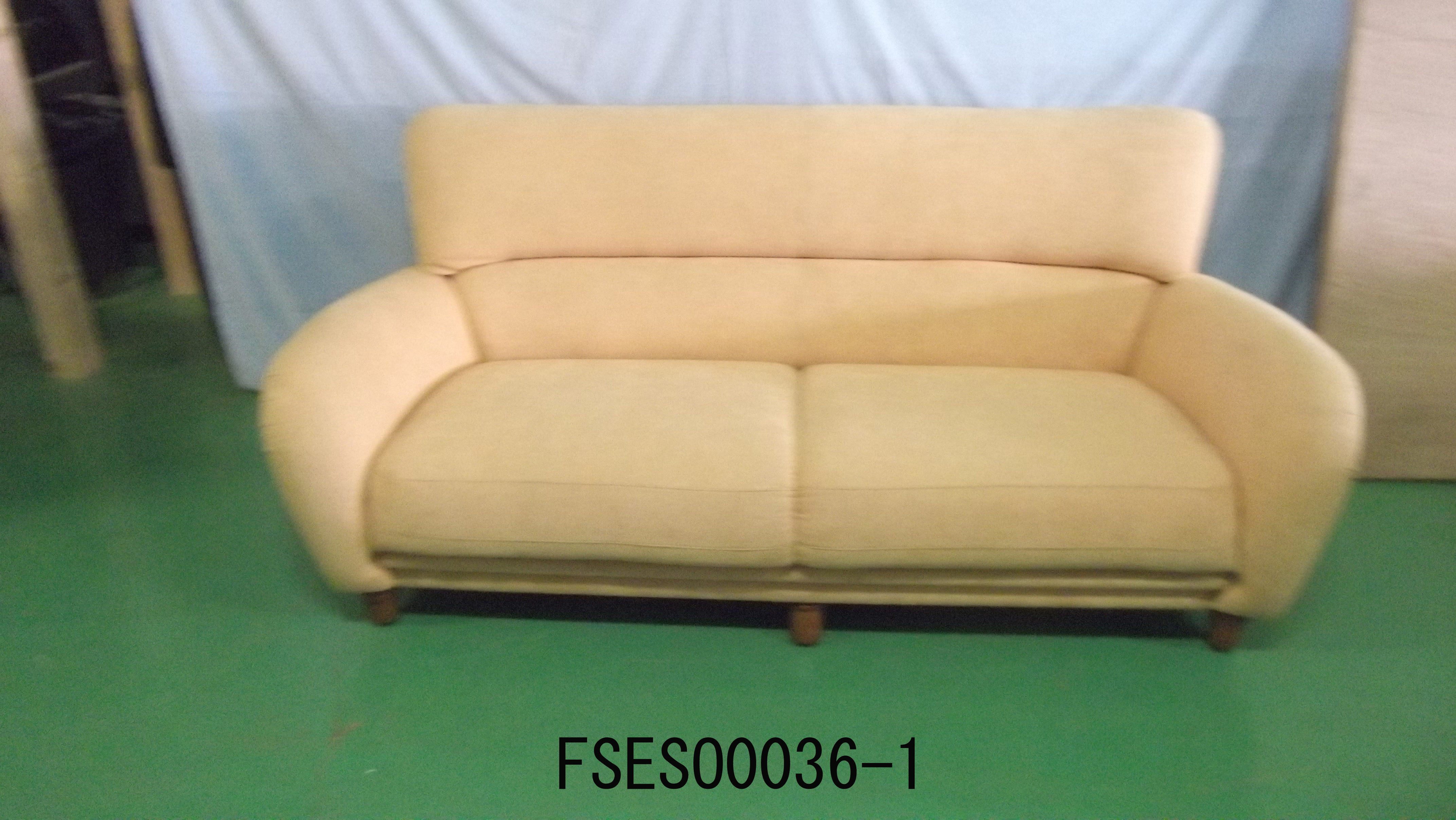 FSESO0036-1