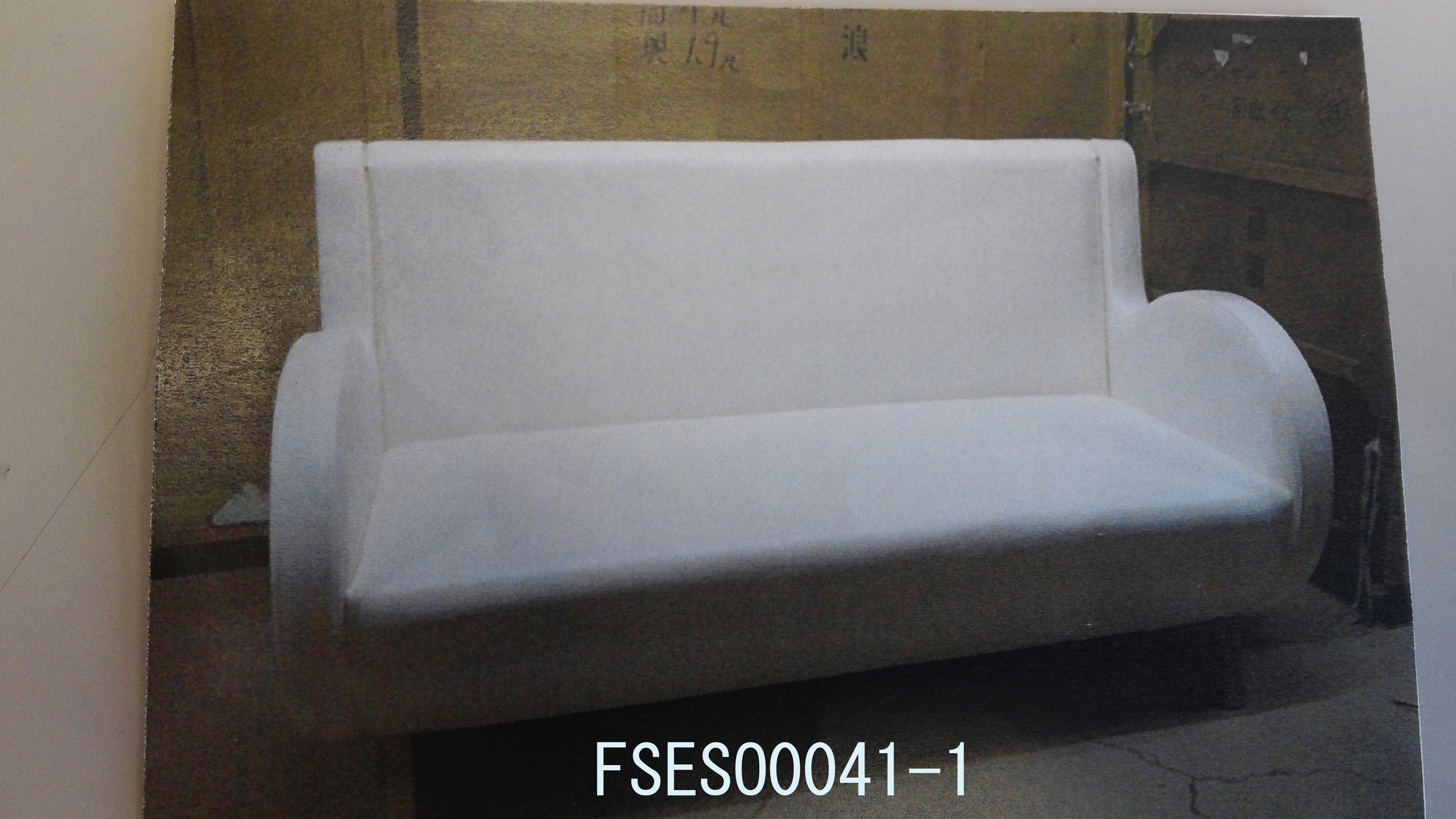 FSESO0041-1