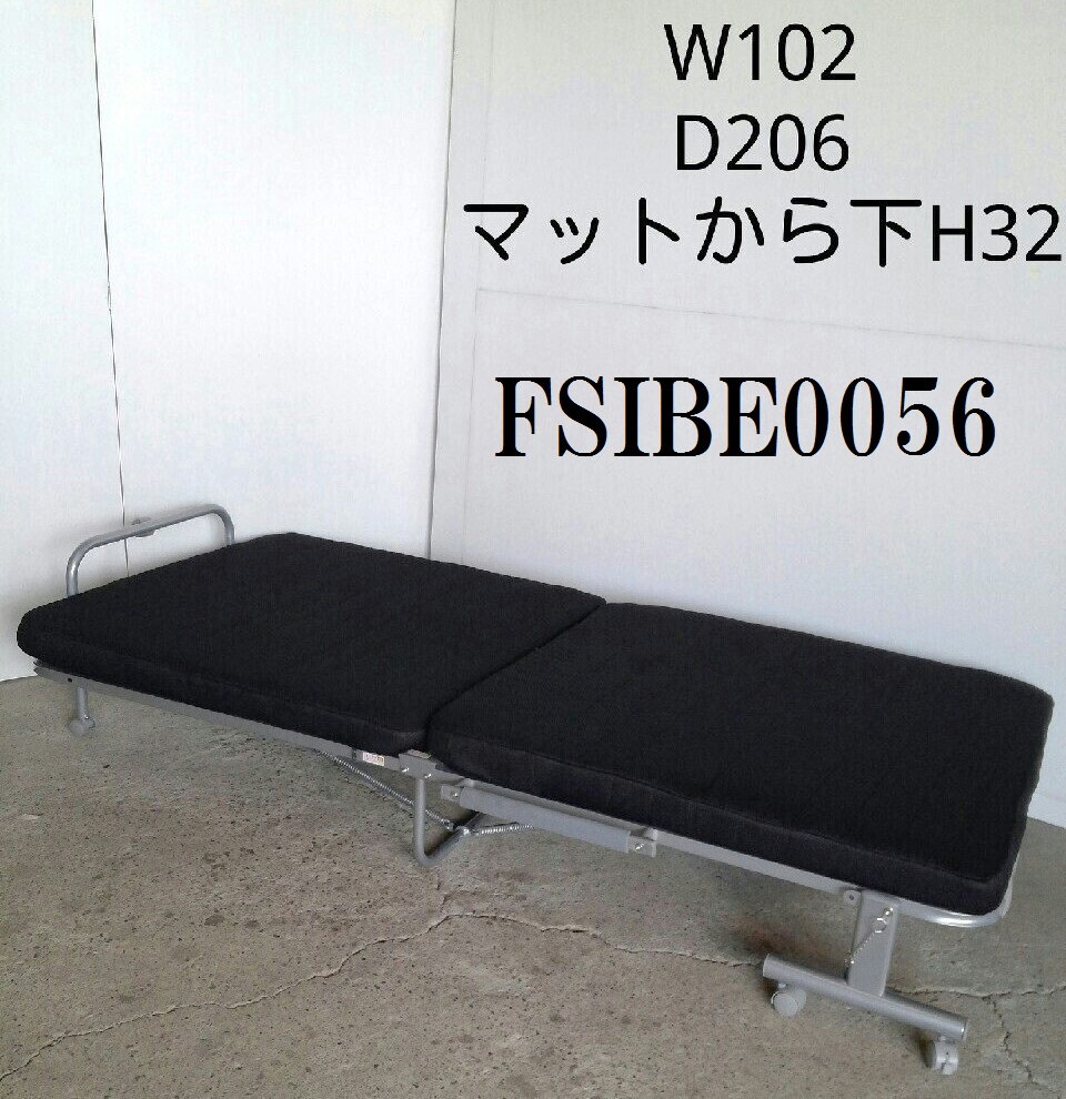 FSIBE0056